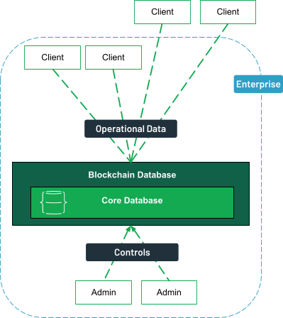 Clients, both internal and external can access the blockchain database for operational data. The administrators inside the enterprise control the database.