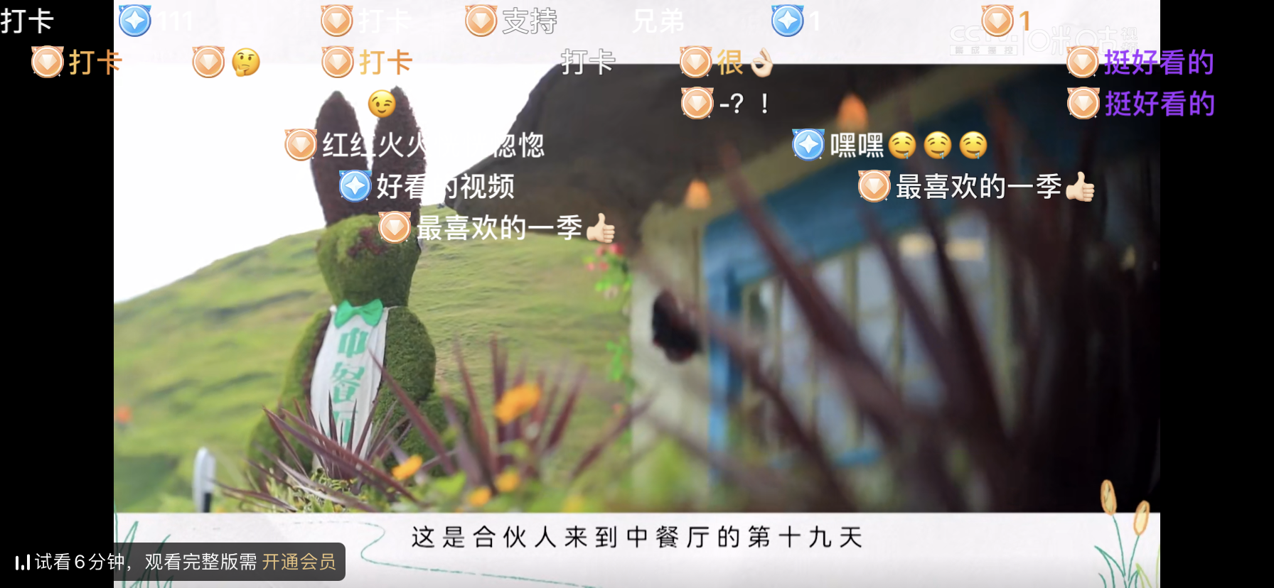 “Bullet screen” feature