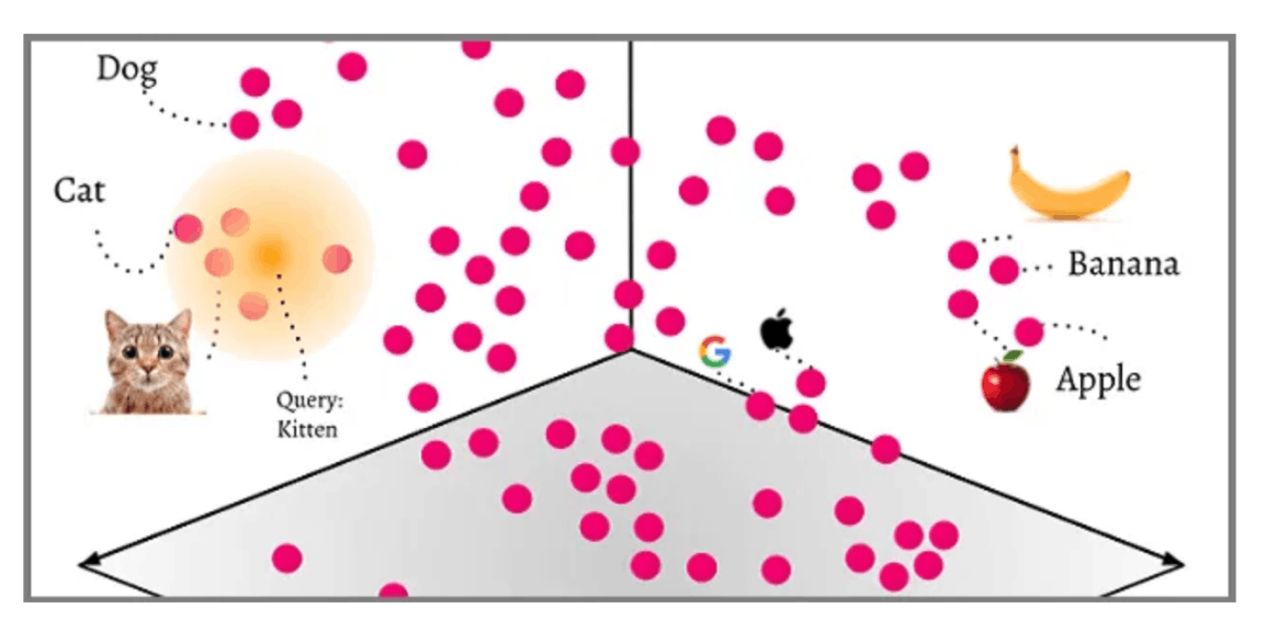 An image describing how vector database search works including pink dots, a cat, banana, etc.
