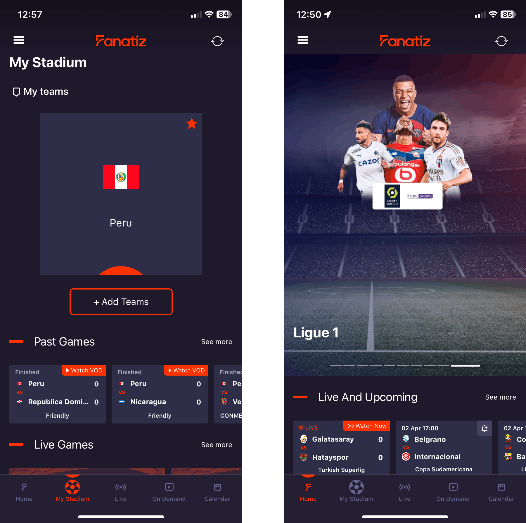 An illustration showing the Fz Sports mobile app - My Stadium and My Team Home Screen
