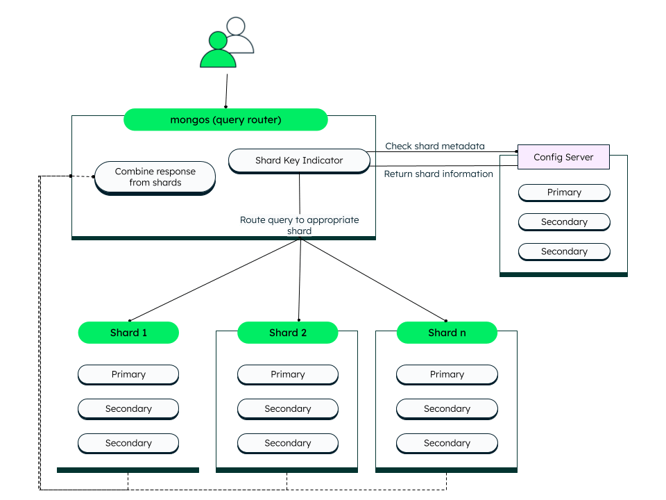 An image over a config server replica set in MongoDB