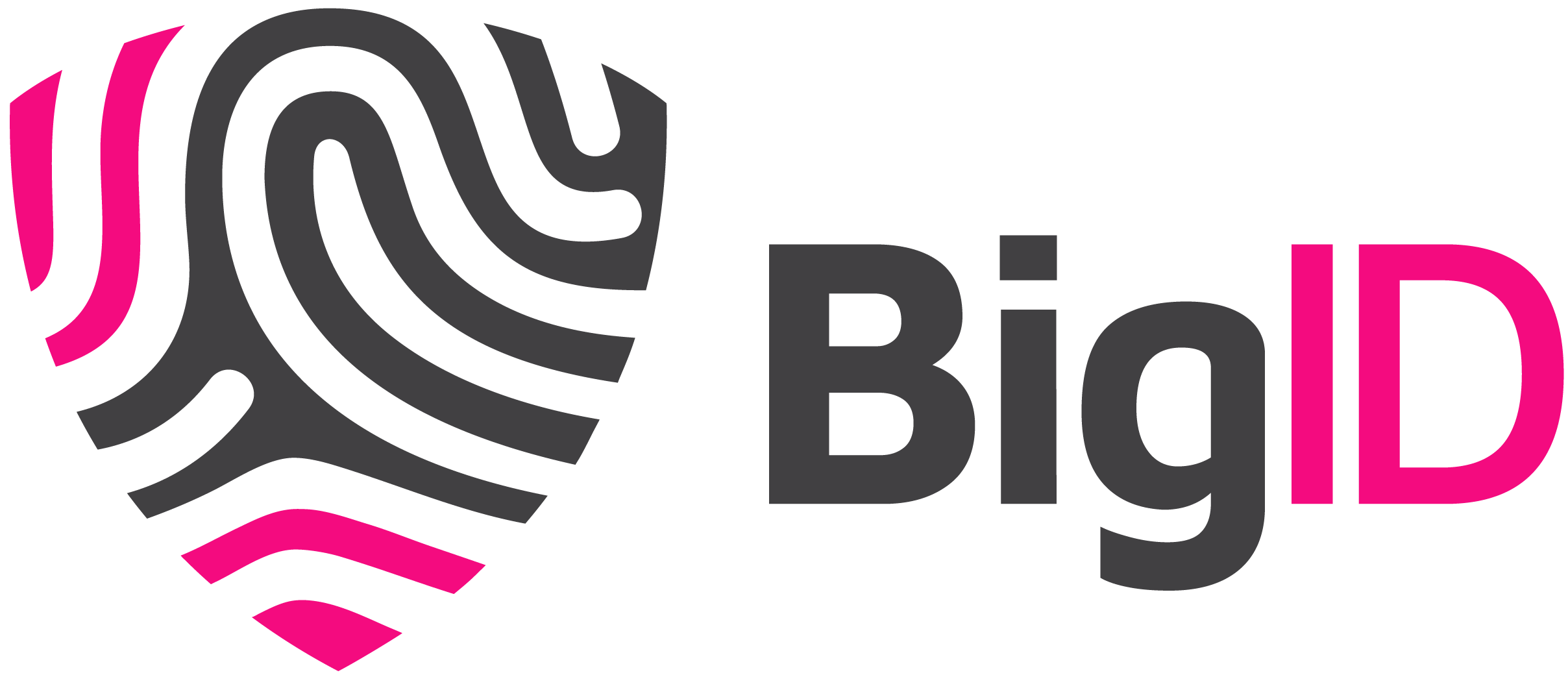 BigID logo