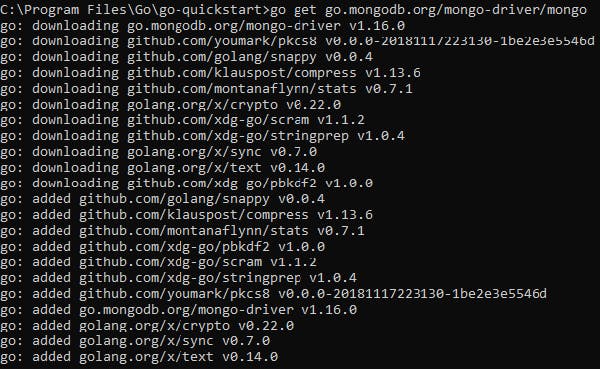 An image of go and mongo driver code.