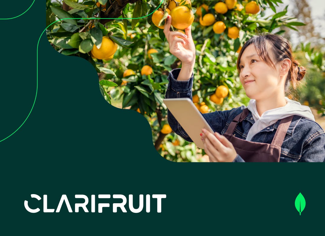 Photo of a girl inspecting fruit.