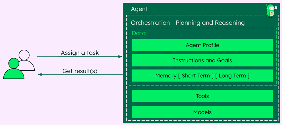 Basic Components of an AI Agent